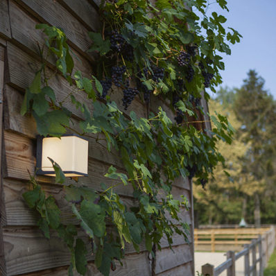 Светильник уличный настенный влагозащищенный SP-2123 LED IP54