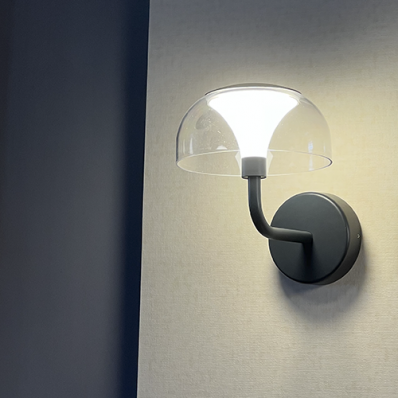 Светильник настенный фасадный светодиодный влагозащищенный SP-1621 13W IP54