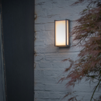 Светильник настенный уличный влагозащищенный SP-4152 IP54