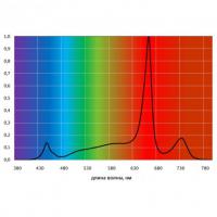 ПромЛед Агро 310 R80