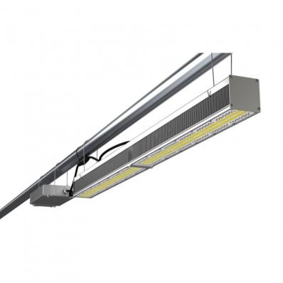 ПромЛед Агро 310 R80